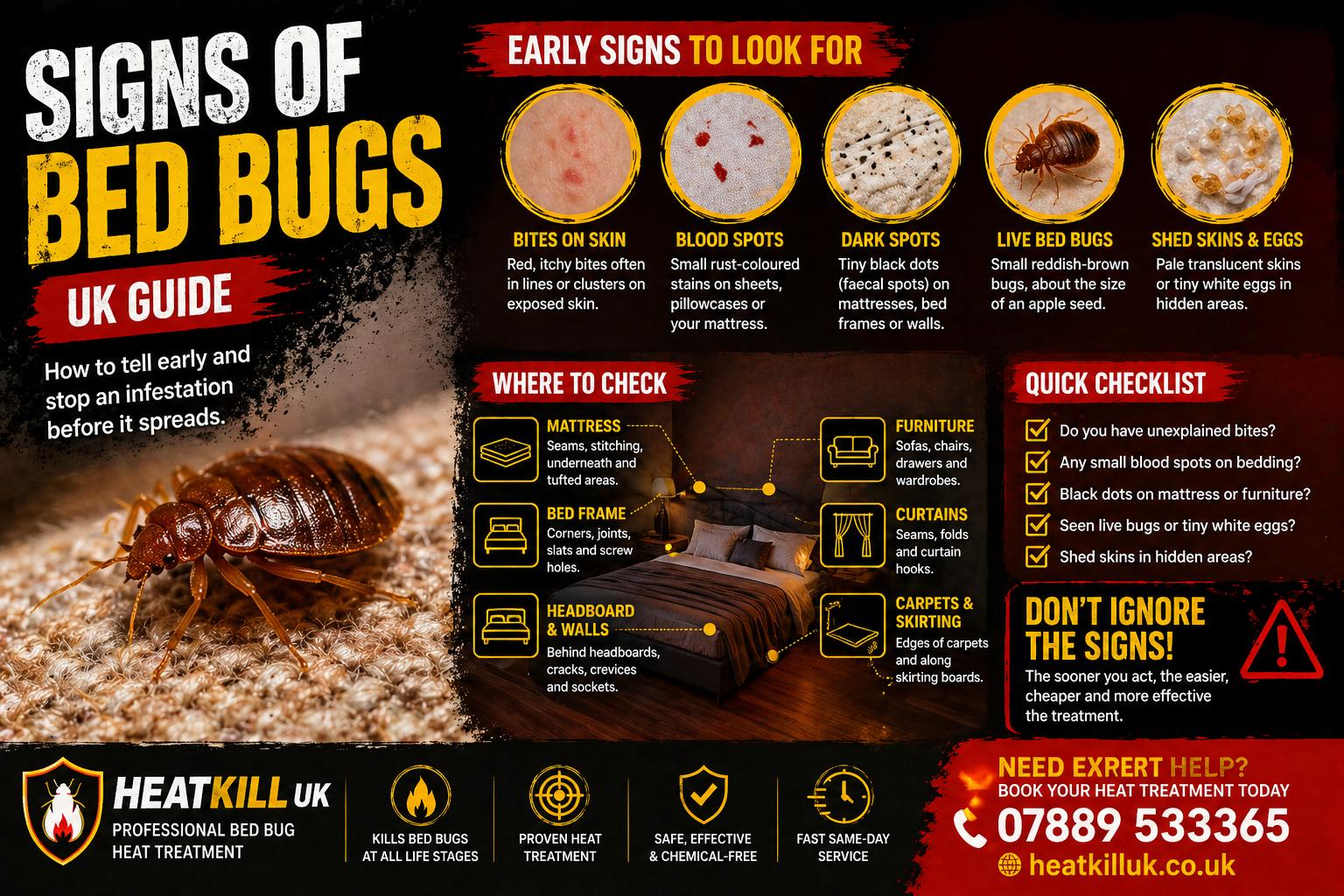 Signs of Bed Bugs UK