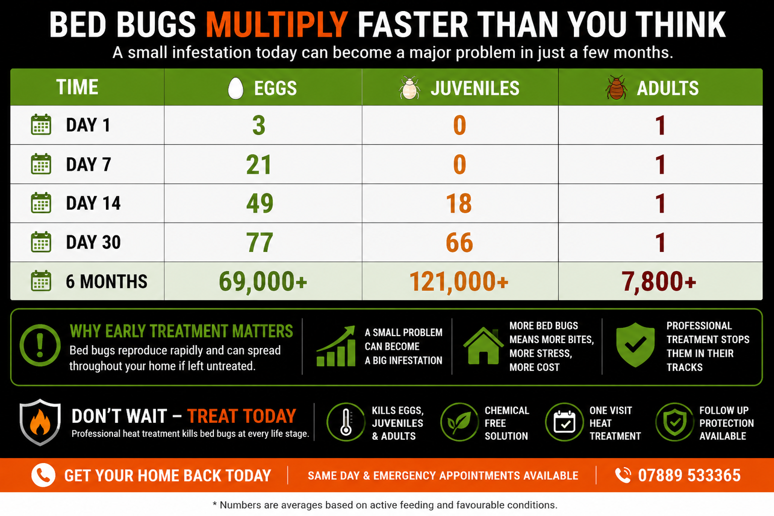 Bed bug reproduction rate infographic showing how quickly bed bugs multiply over time, including eggs, juveniles, and adults from day 1 to 6 months, with professional heat treatment and follow-up protection information for UK homes.
