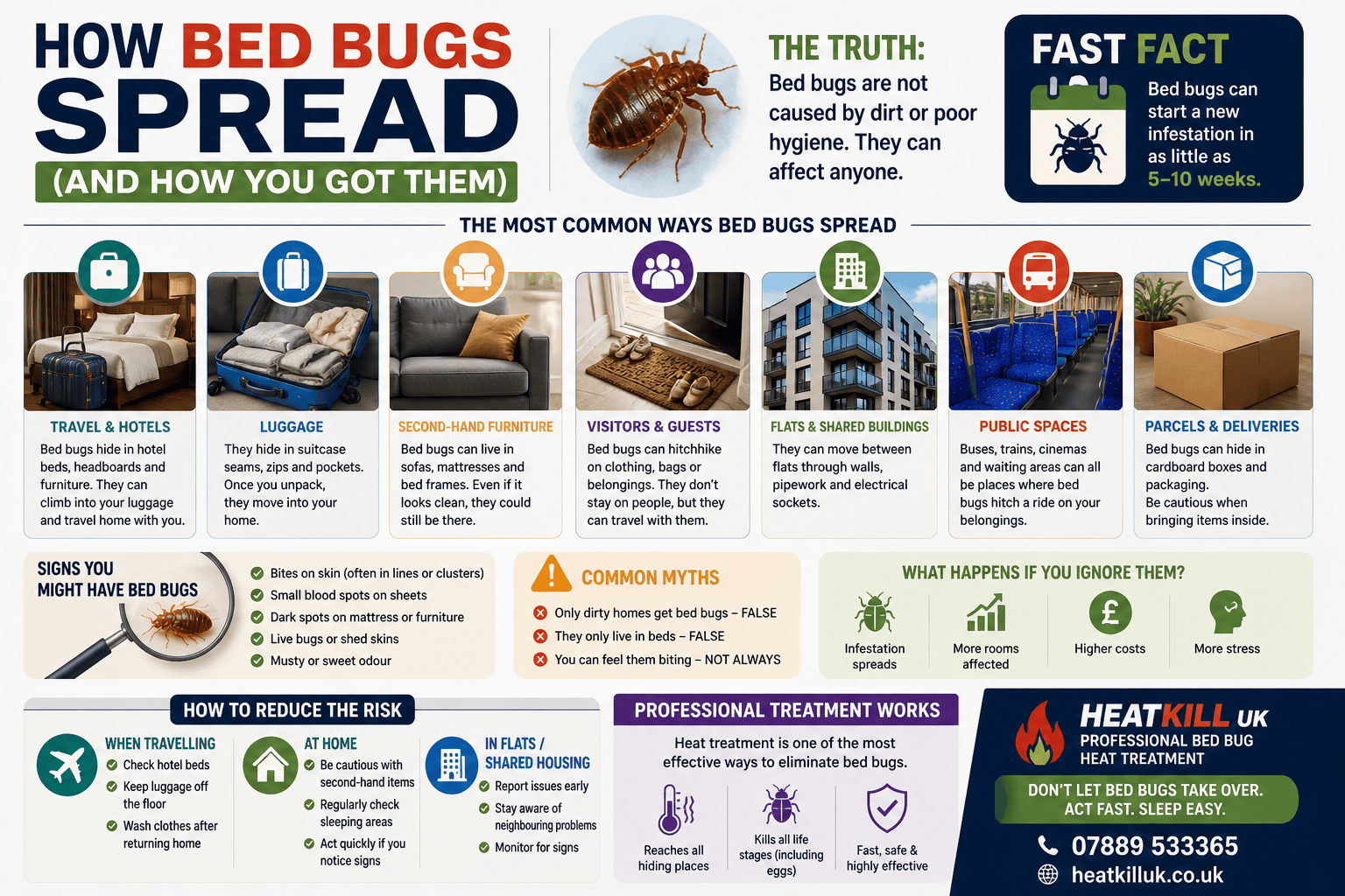 How Bed Bugs Spread (And How You Got Them) UK Guide